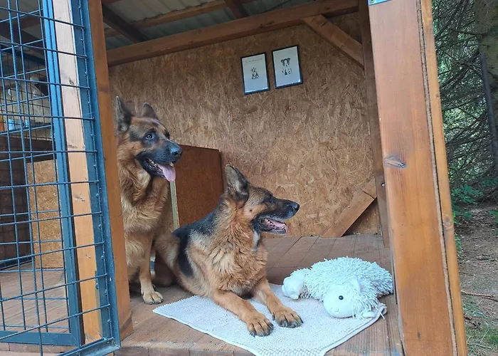 Appartement Samostatny Srdcovka